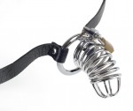 Fetish Fantasy Extreme Chastity Belt