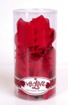 With Love Rose Scented Silk Petals